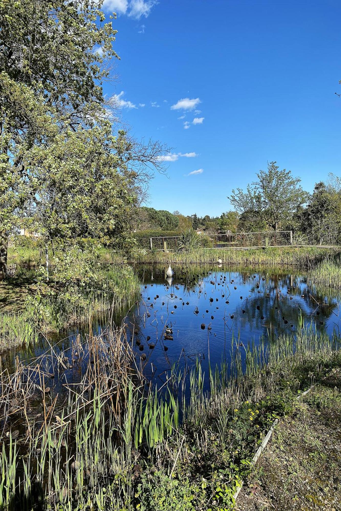 Les Bastides 3124 Villa Grimaud Buitenkant foto
